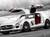 Photo of the Day Mercedes SLS AMG